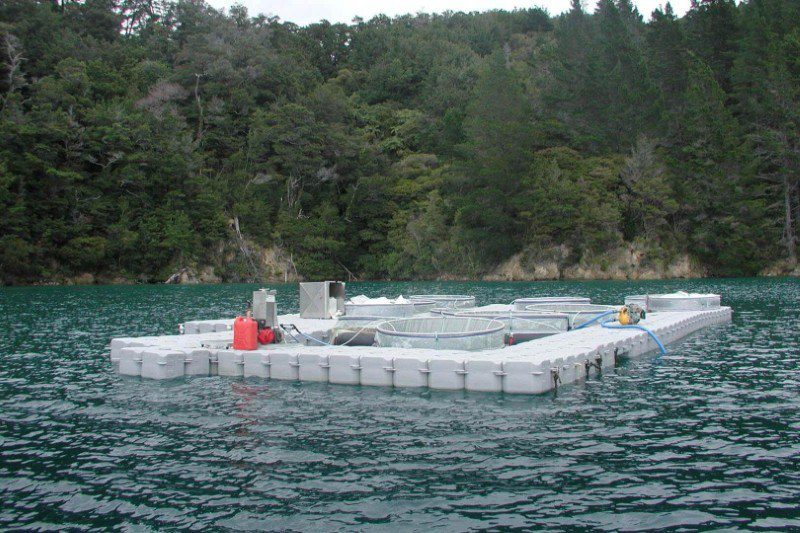 Aquaculture Floating Dock
