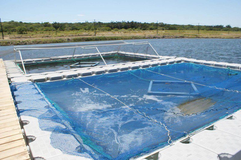 Aquaculture Floating Dock