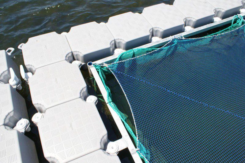 Aquaculture Floating Dock