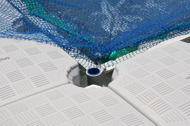 Aquaculture Floating Dock