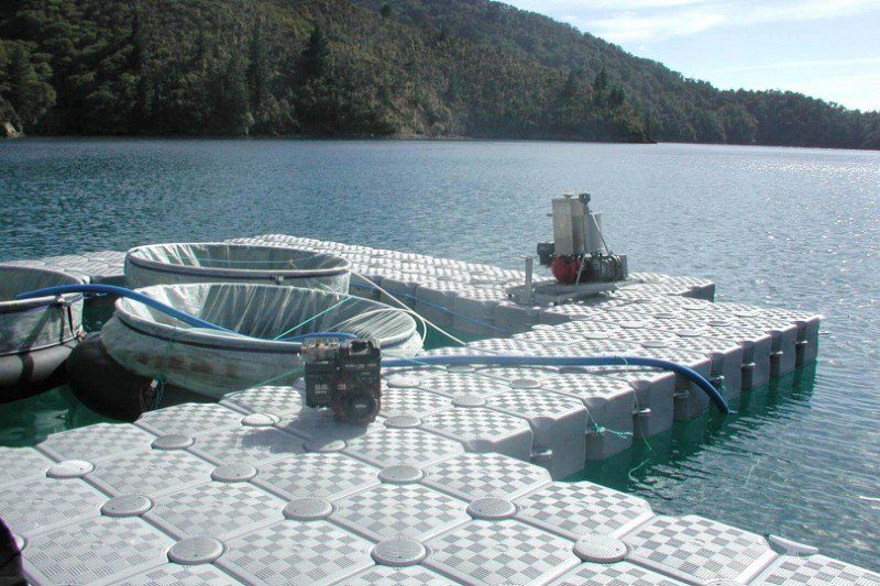 Aquaculture Floating Dock