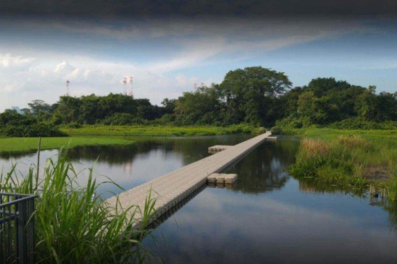 Floating Bridge